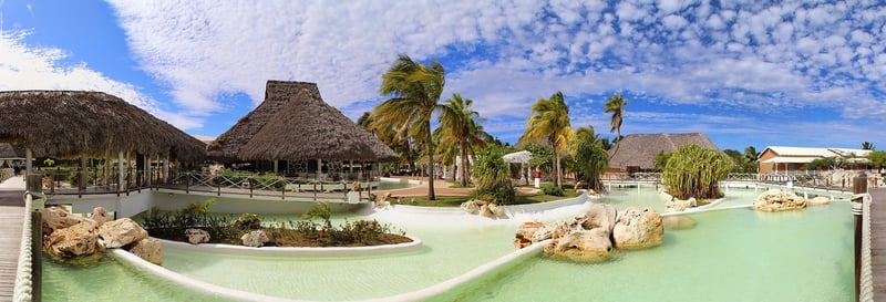 Tropical Oasis