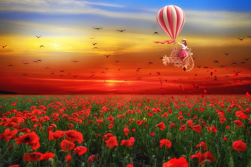 Whimsical Landscapes